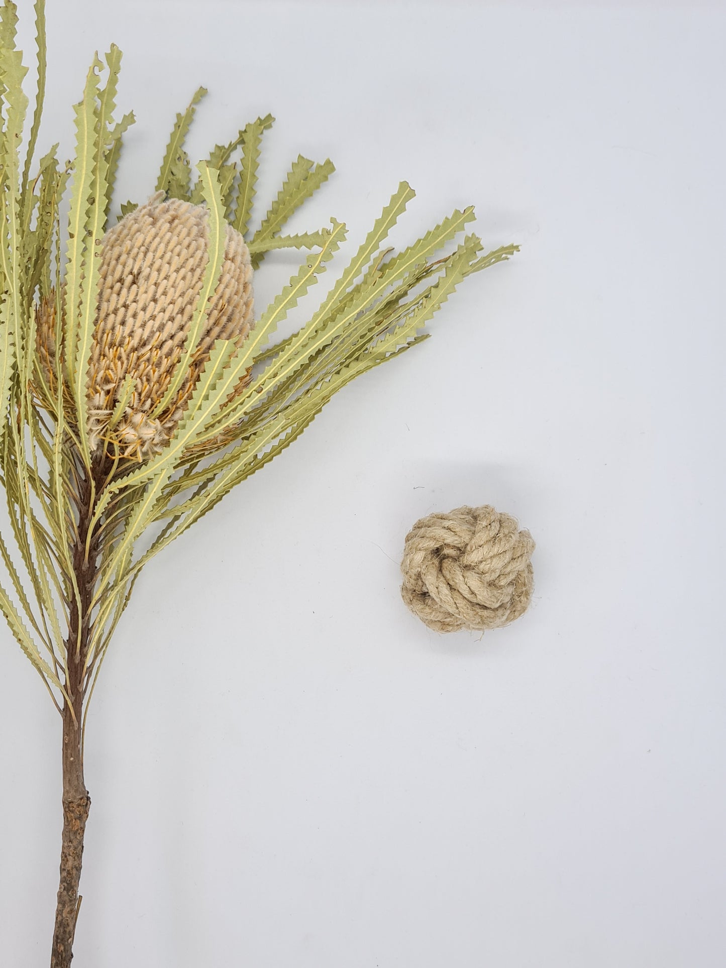 Hemp Knot Ball