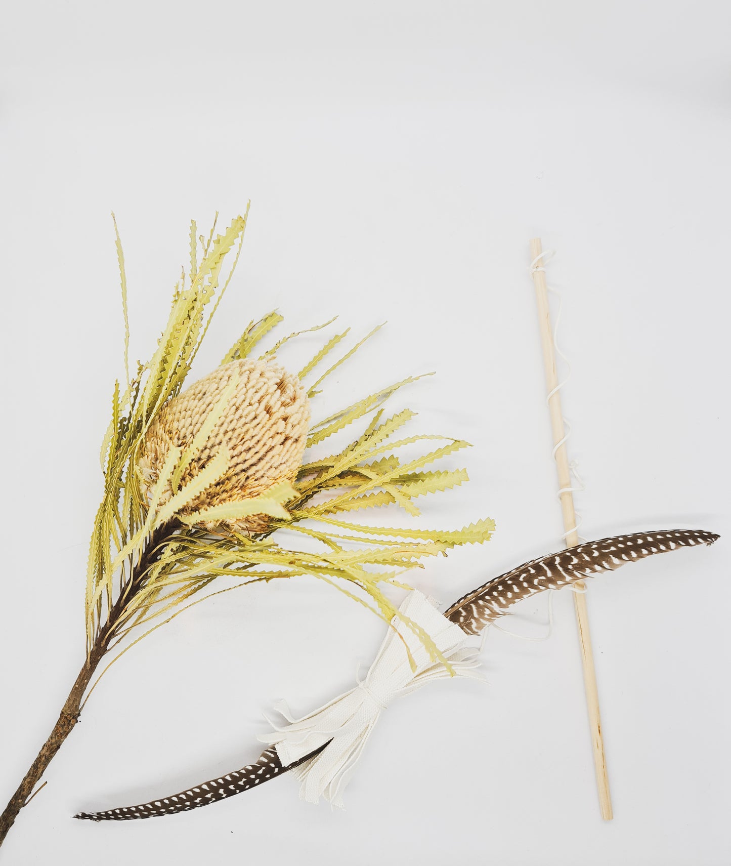 Wedge Tail Wand Cat Toy