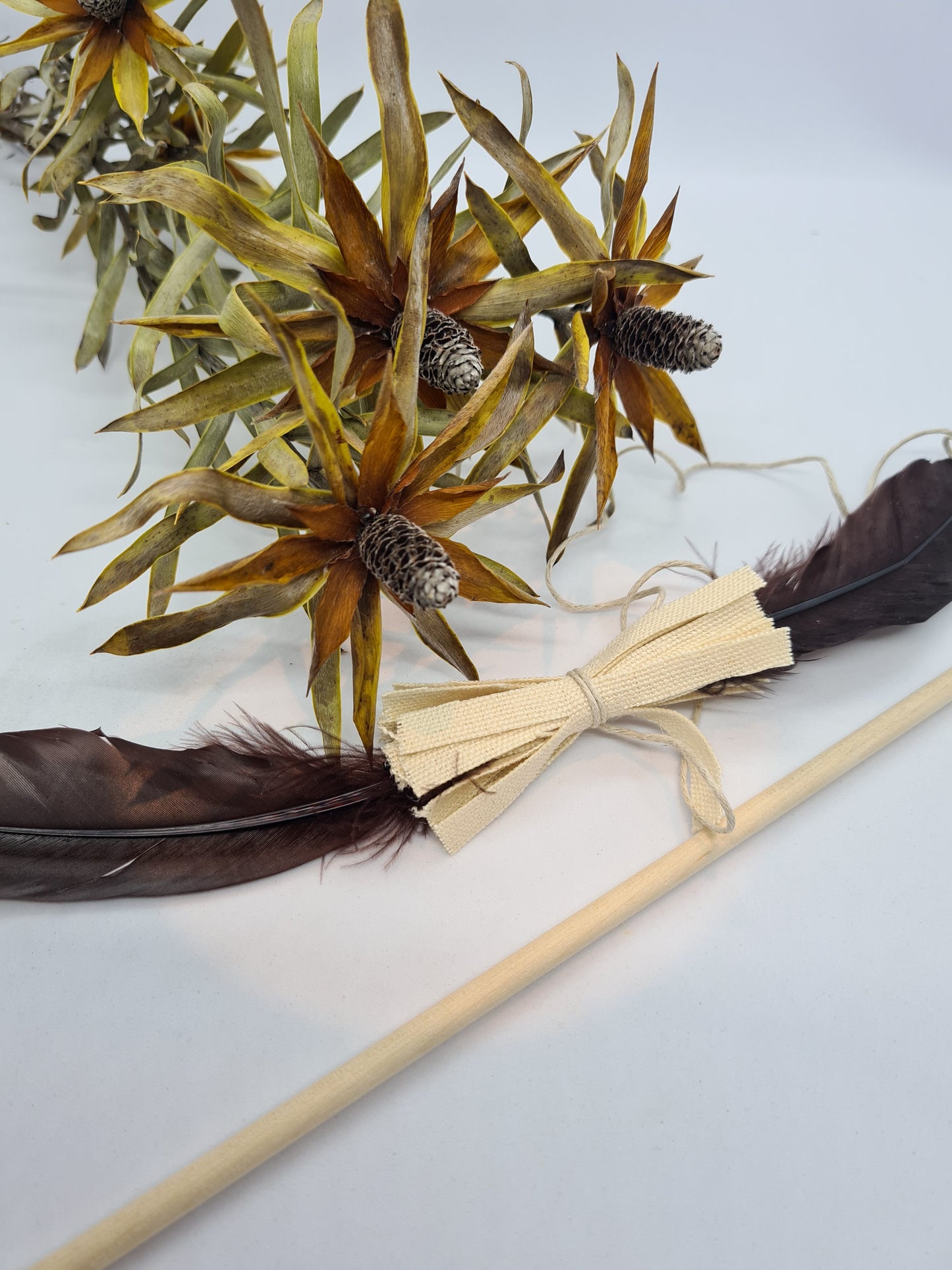 Wedge Tail Wand Cat Toy