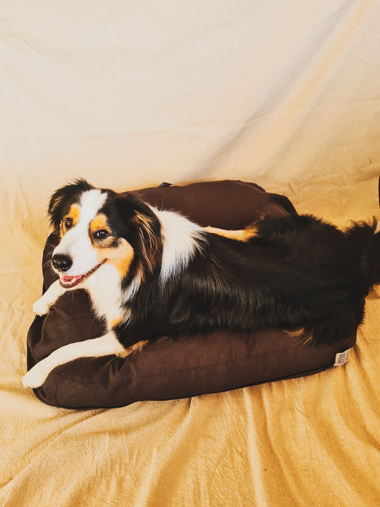 Hemp Pet Bed