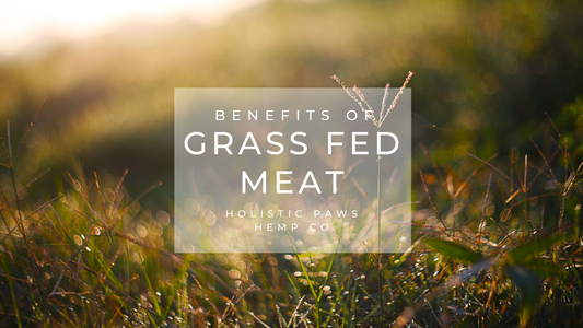 The benefits of grass fed meat