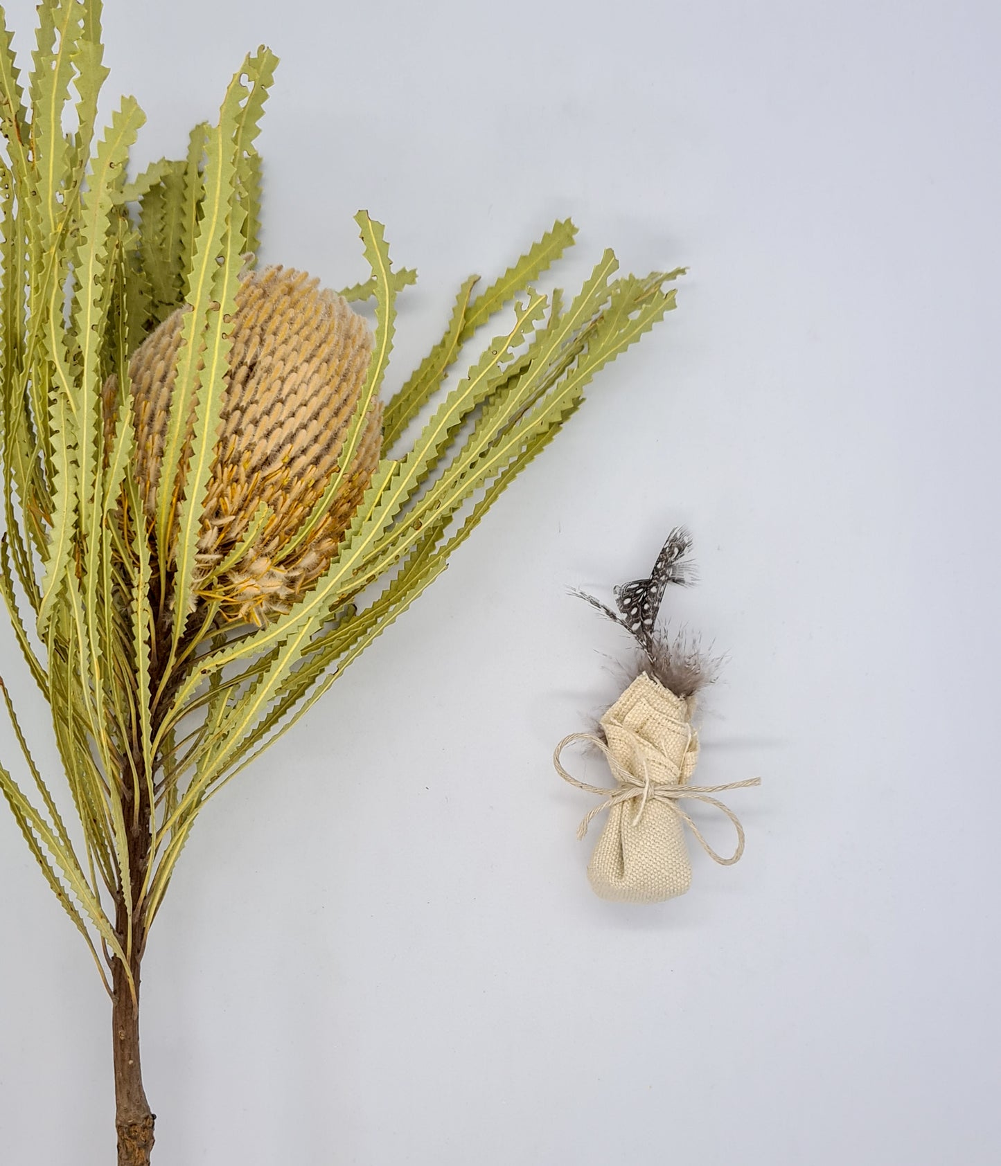 Hemp Cat Nip Toy With Feather