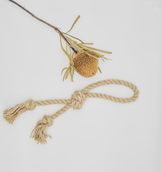 Hemp Loop Tug Toy