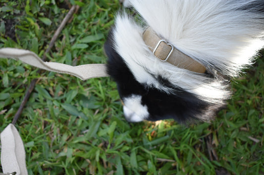 Organic Hemp Collar